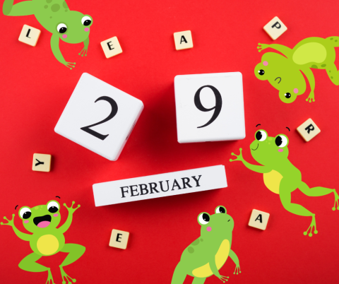 Frogs leaping abound blocks that say 29 February leap year