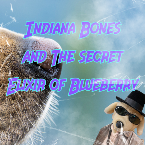 Large dog nose with wisps of aroma and Indiana Bones in the corner