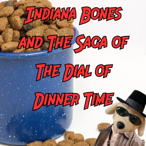 Bowl of dog kibble with Indiana Bones in the corner