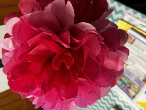 Hot Pink Tissue Flower